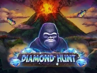 Diamond Hunt game cover